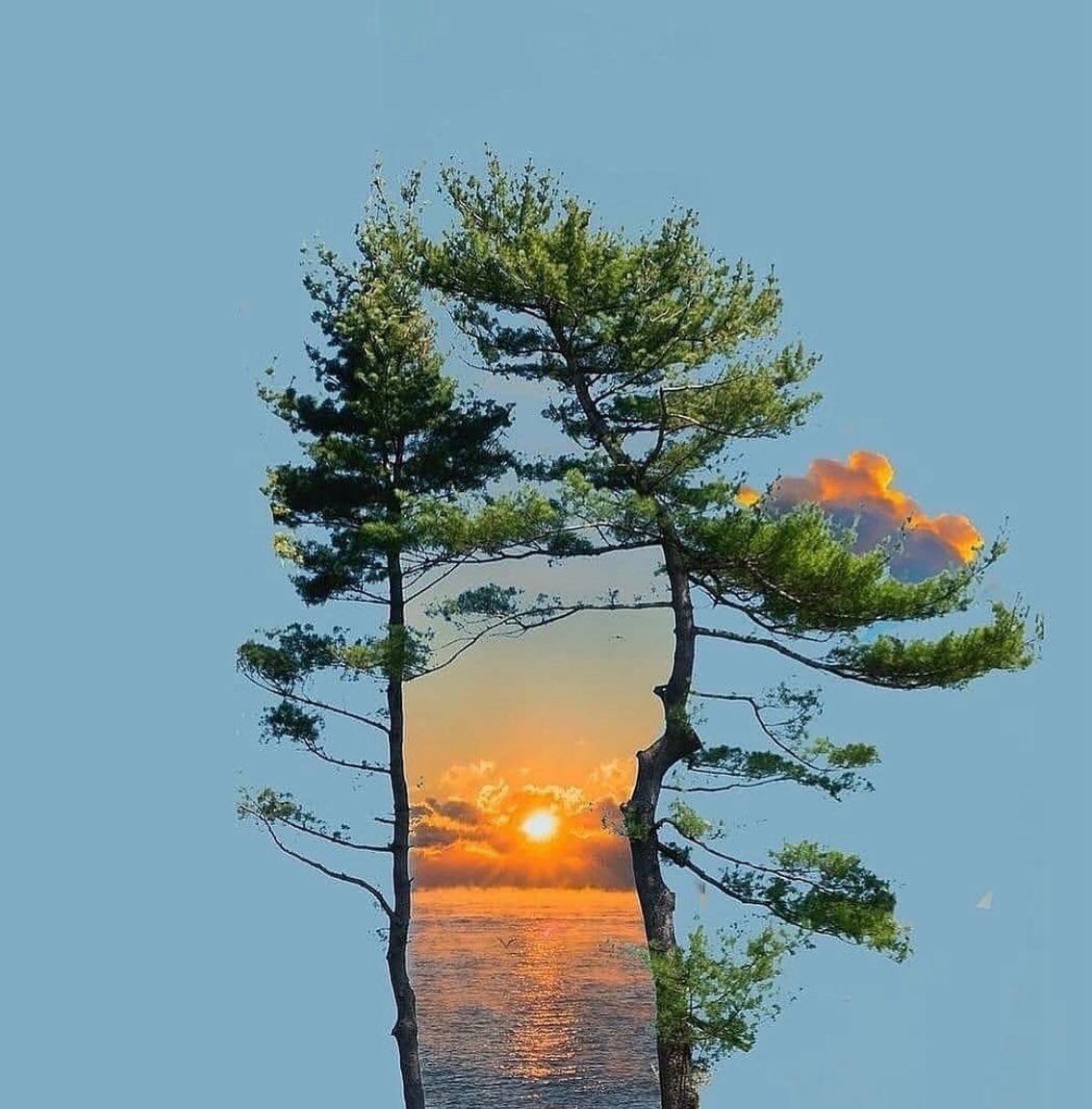 Every smile , every loving word, every kind action is a reflection of the beauty of your soul …

Good morning friends
