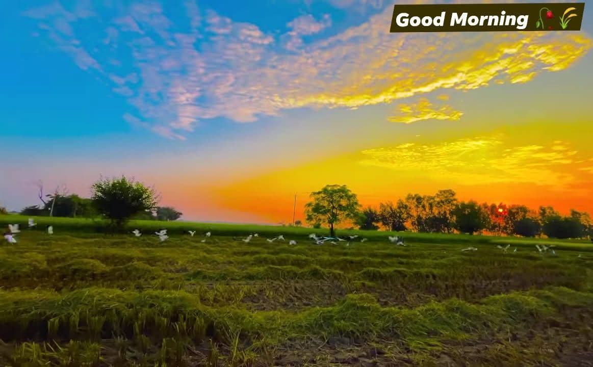 सुप्रभात सभी मित्रों को 🌞🌈🎉
#morningvibes #tr_marwadi