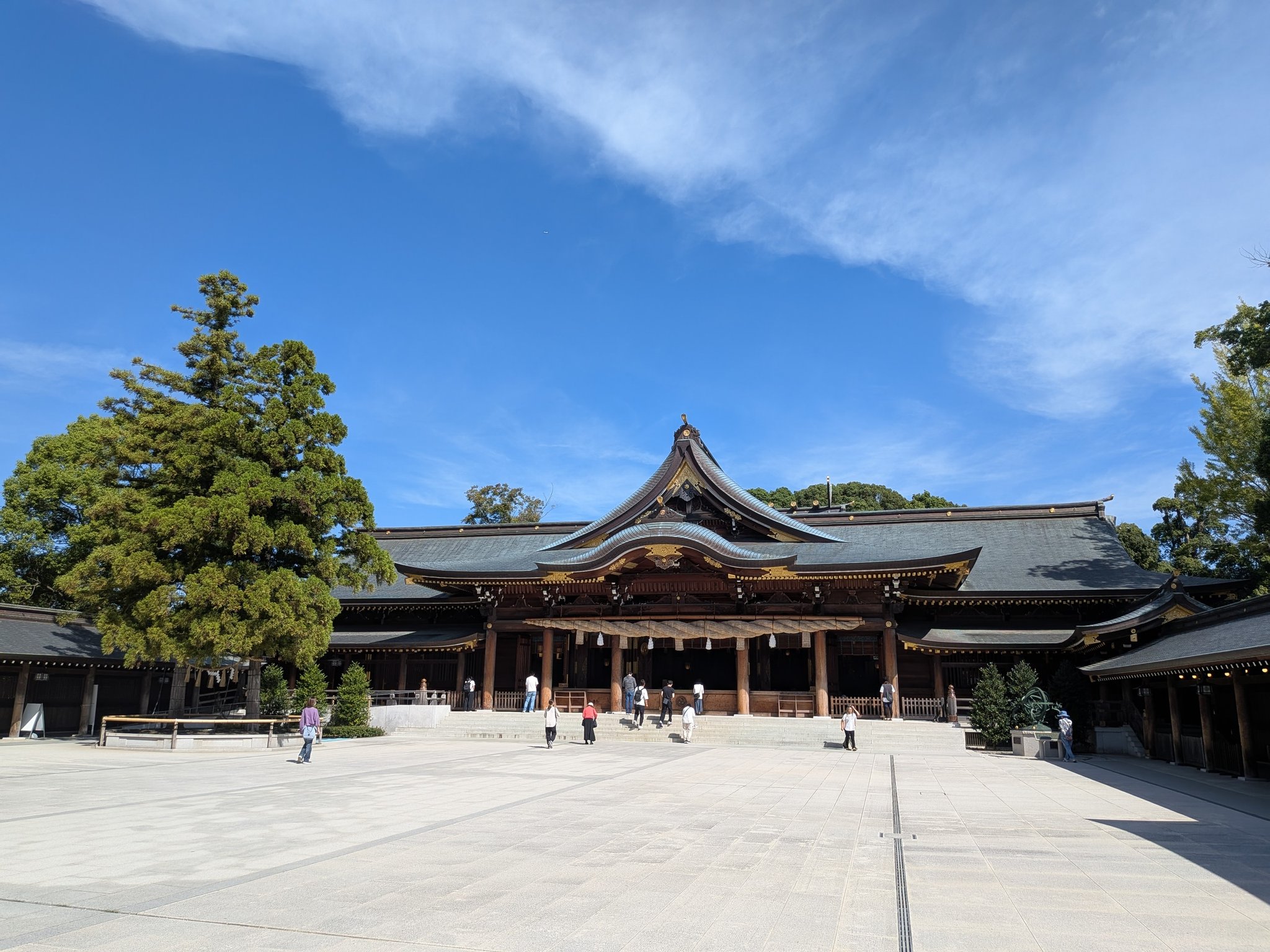 はげちゃびん はげはげちゃびん (@hagehagechabin) / X