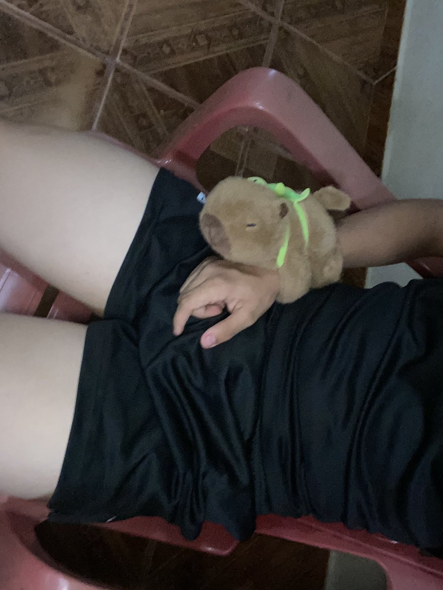 aquele amigo que tem uma capivara depois do treino de perna