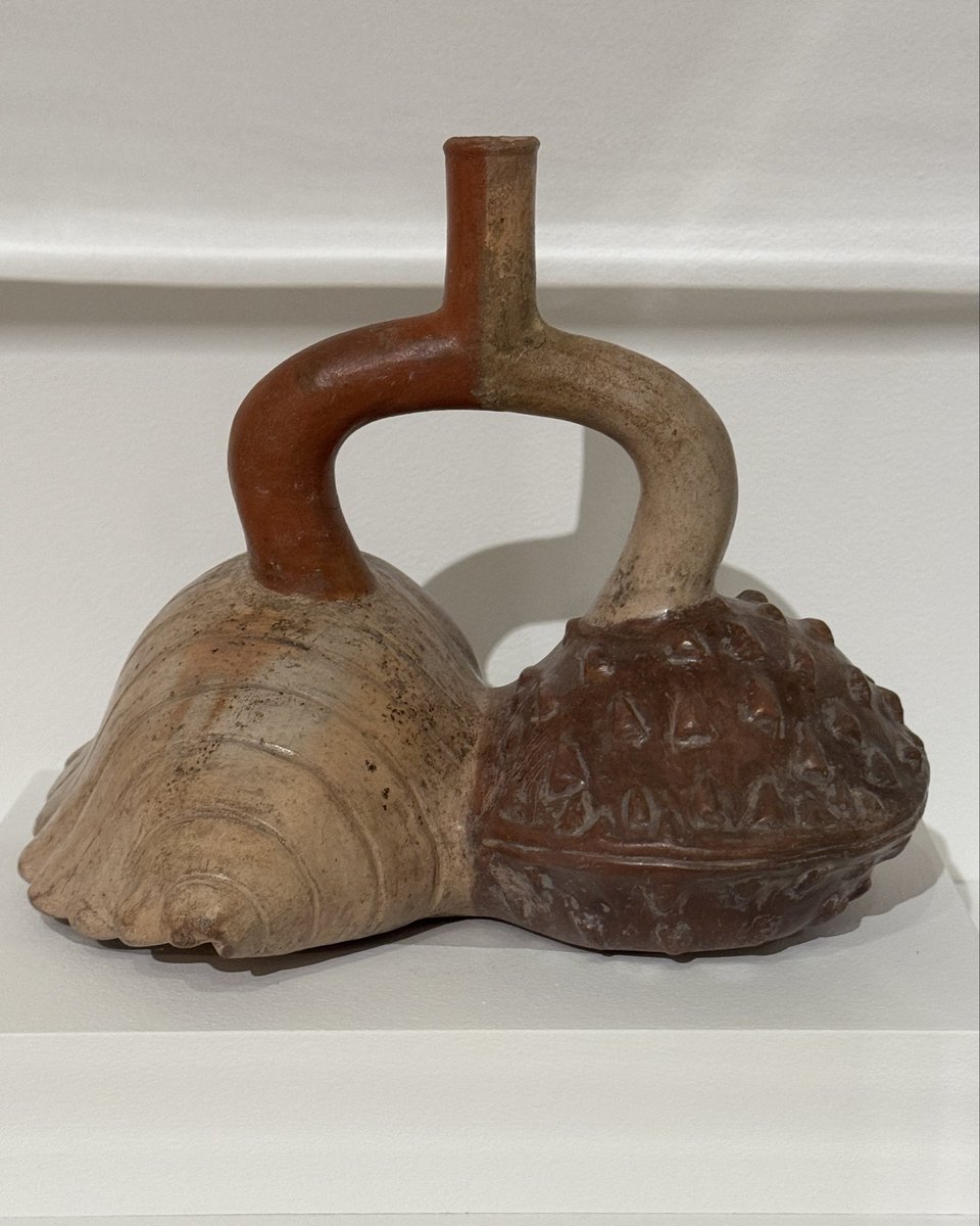 ArtHistAnimalia's tweet photo. #TwoForTuesday :
Double Chambered Bottle
Representing a Spondylus #Shell and Strombus Shell
Moche culture, North coast Peru, 1st-7th c.
Earthenware, slip
On display at Baltimore Museum of Art (2005.31)
#IndigenousArt #AndeanArt #PeruvianArt #Mollusks https://t.co/QlP3eKDpEo