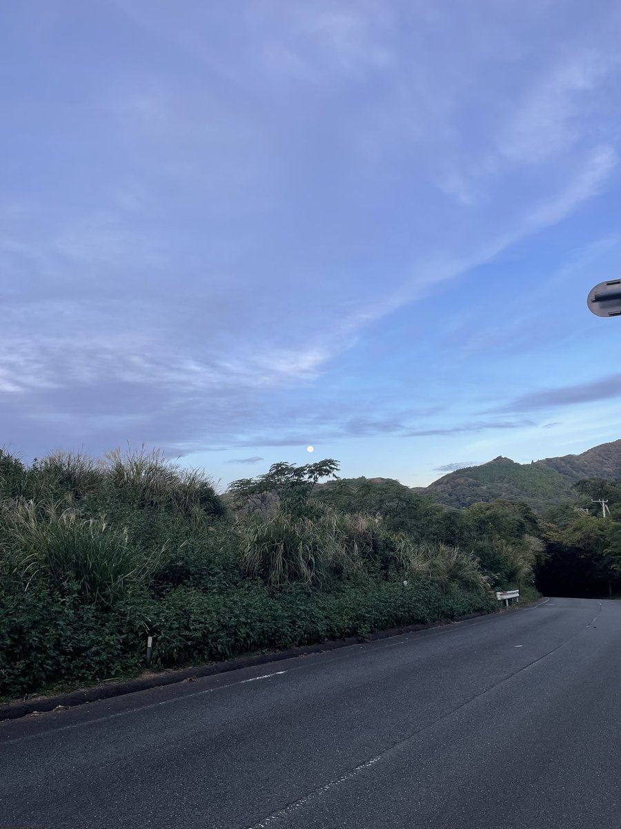 akiさん専用です セイミツ工業 単品部品 20％強化変則スプリング変換KIT