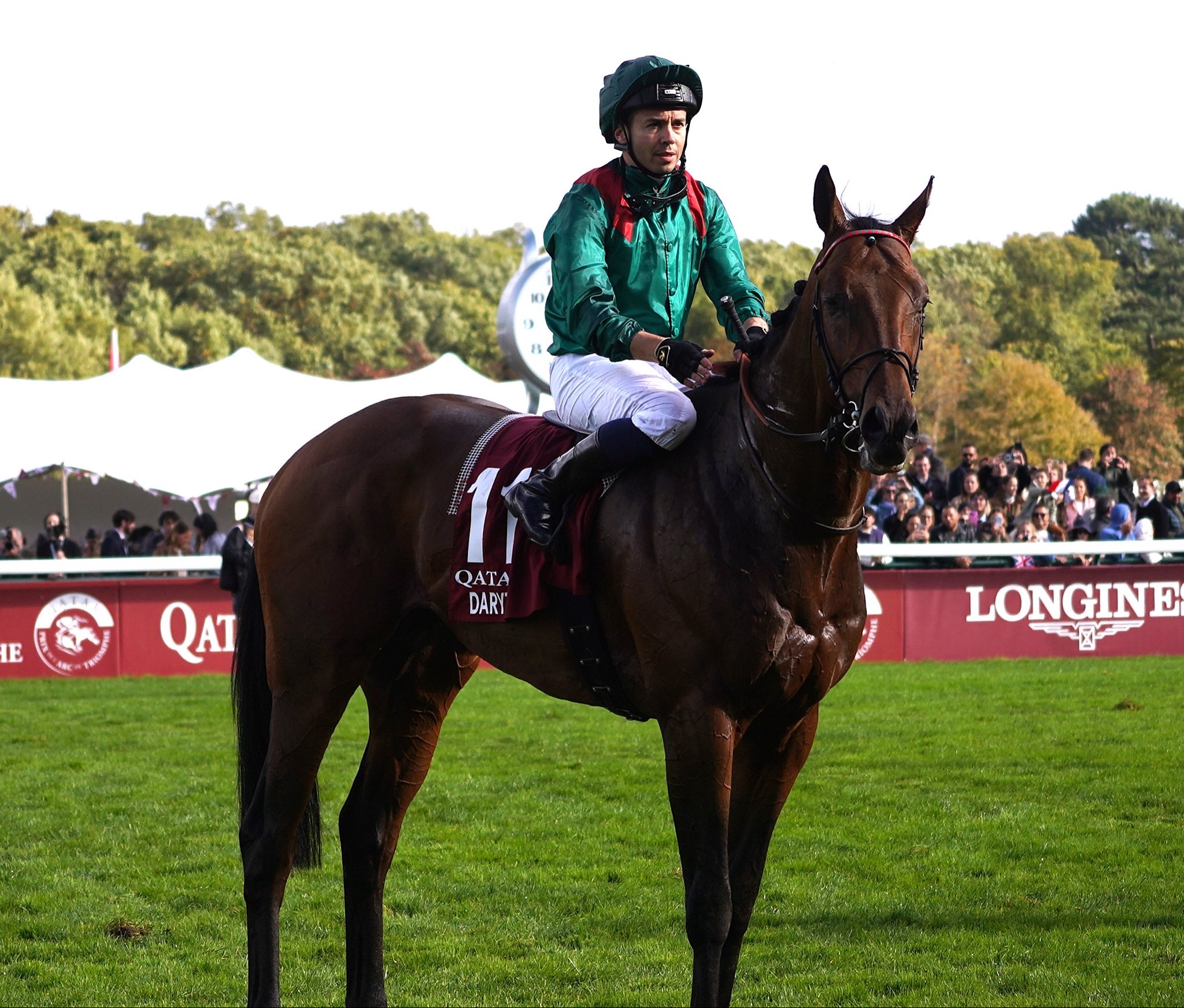 ザ・グリード('98米) 早い者勝ち ザ・グリード('98米) 早い者勝ち ザ・グリード(´98米) 早い者勝ち