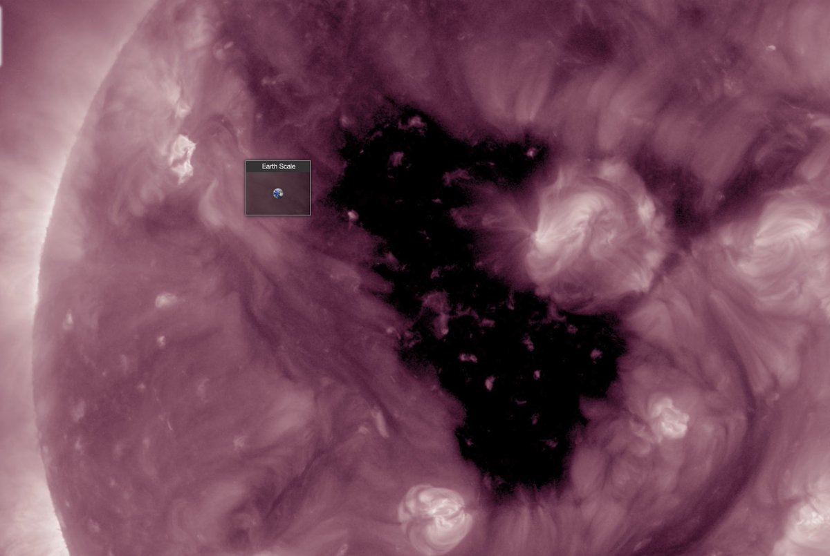 Vincent Ledvina tweet media