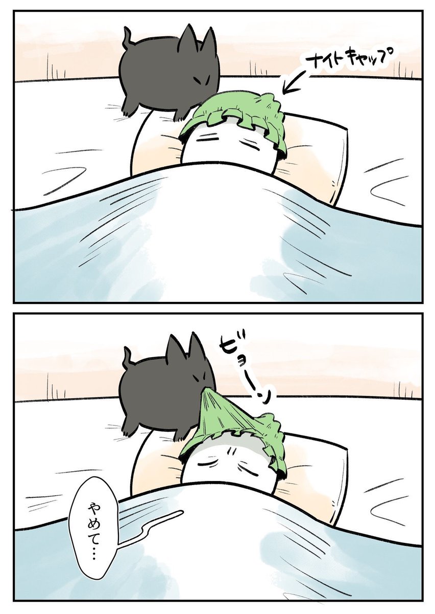 飼い主の起こし方 