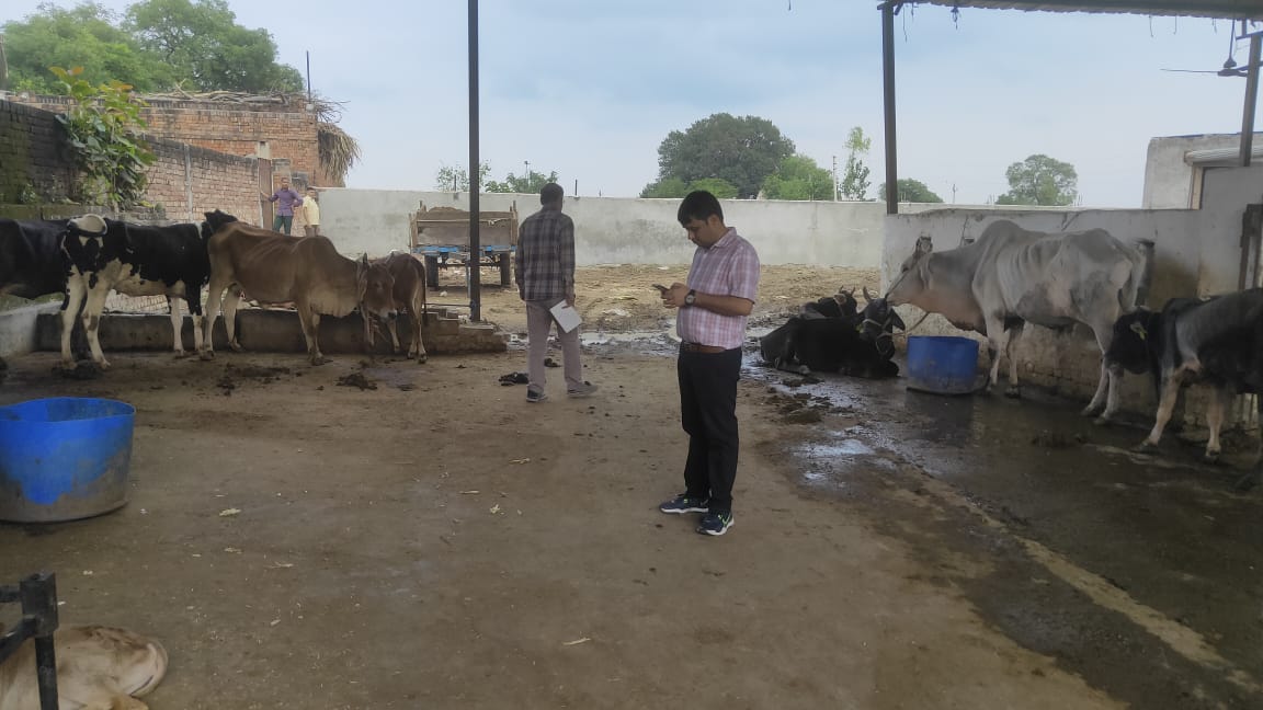 दिनांक 7 अक्टूबर को धनोरा सिल्वरनगर गौशाला का निरीक्षण किया गया। सचिव को गौशाला में राफिस डालकर भूमि समतल कराने के निर्देश दिए गए तथा पर्याप्त मात्रा में भूसा और हरा चारा की उपलब्धता सुनिश्चित कराई गई।