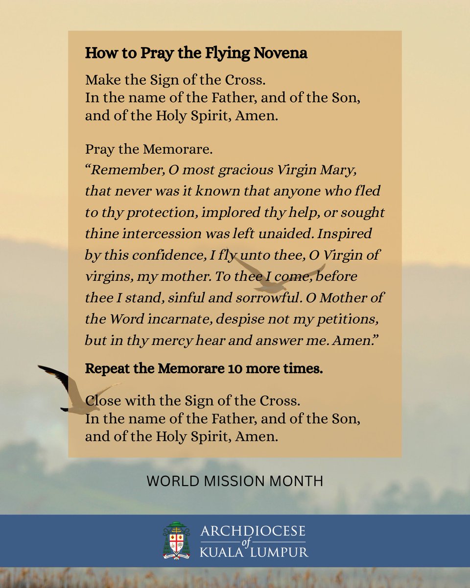 The Flying Novena, described by Mother Teresa as her "spiritual rapid-fire weapon," consists of 10 consecutive Memorares aimed at addressing urgent needs.
The final Memorare is recited in thanksgiving, expressing trust that Our Lady has already granted the favour requested. #Mary