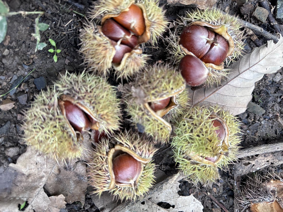 JessieTLL's tweet image. 🇨🇳🇨🇳🇨🇳🇨🇳🇨🇳🎑🎑🎑🎑🎑