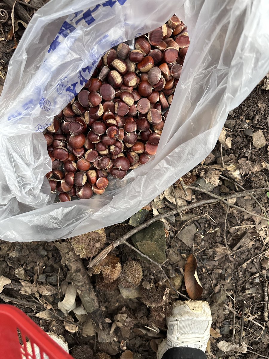 JessieTLL's tweet image. 🇨🇳🇨🇳🇨🇳🇨🇳🇨🇳🎑🎑🎑🎑🎑