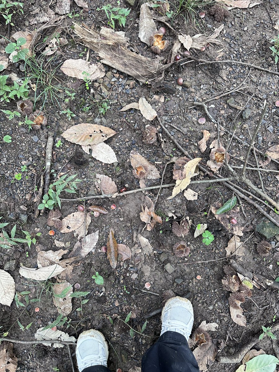 JessieTLL's tweet image. 🇨🇳🇨🇳🇨🇳🇨🇳🇨🇳🎑🎑🎑🎑🎑