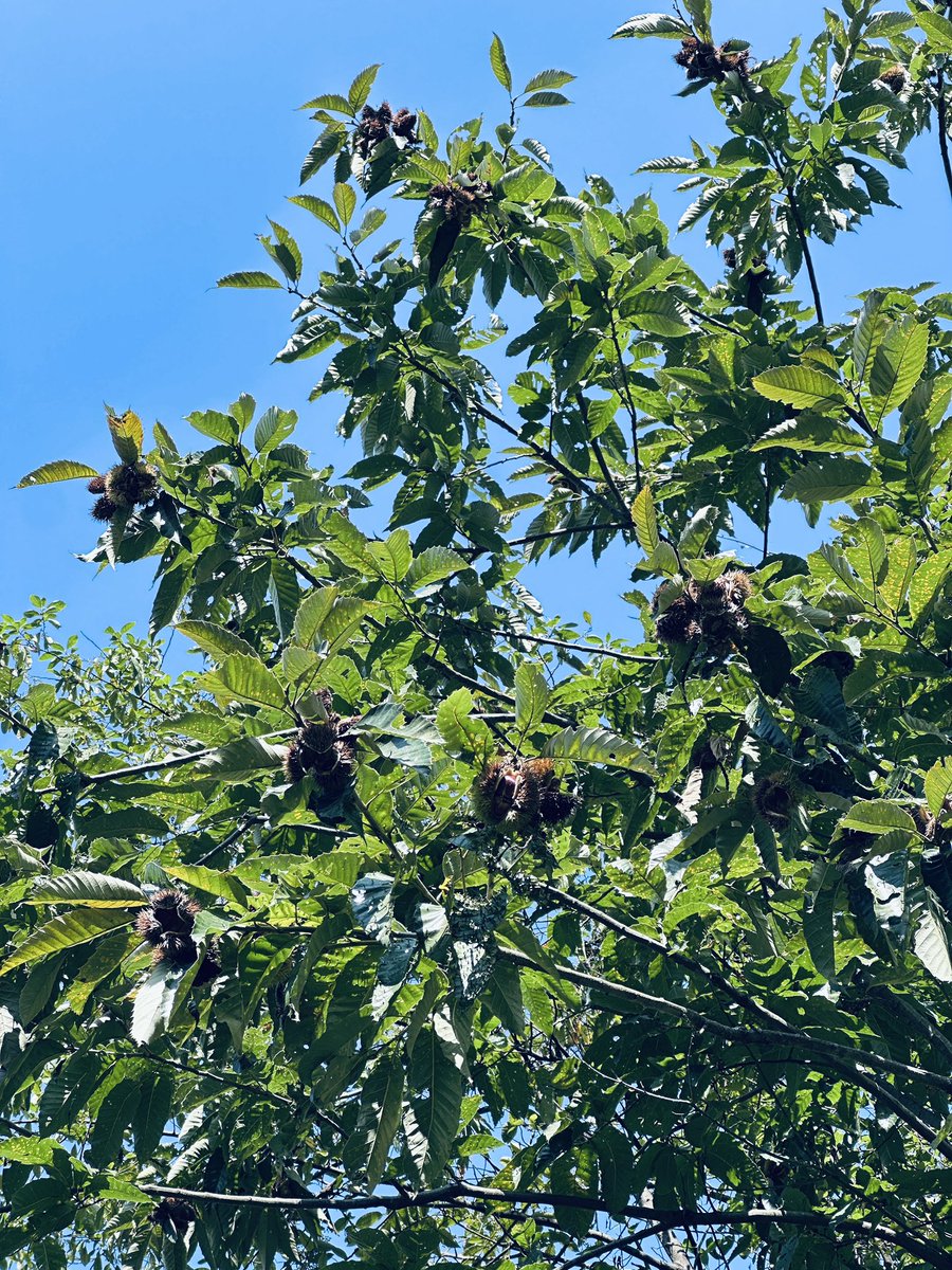 JessieTLL's tweet image. 🇨🇳🇨🇳🇨🇳🇨🇳🇨🇳🎑🎑🎑🎑🎑