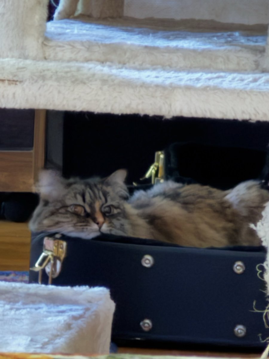 Dylan Woytcke (@dylanwoytcke) on Twitter photo 