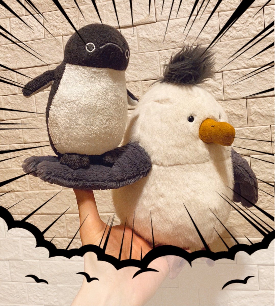 ジェリーキャット