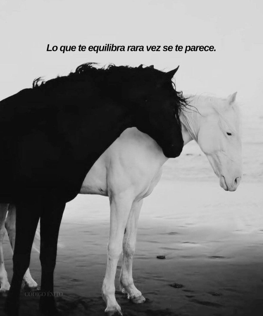 Daniele__Santoy's tweet image. 🤍🖤🤍

     ...

.