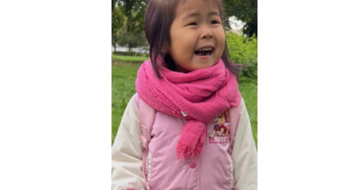 🔴 [ALERTE INFO] L'alerte enlèvement déclenchée après la disparition d'une fillette de 3 ans à Alençon ➡️ l.vosgesmatin.fr/aqZ