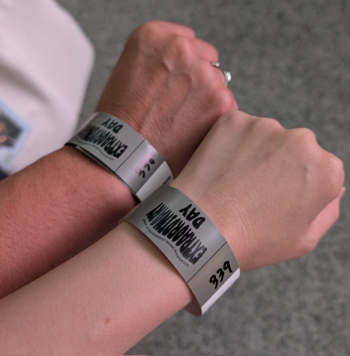 🐭ふう🐭 tweet media