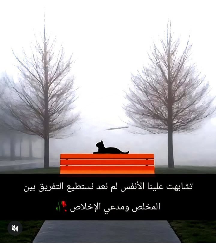 alkuwaitzain9 (@zainkuwait19) on Twitter photo 