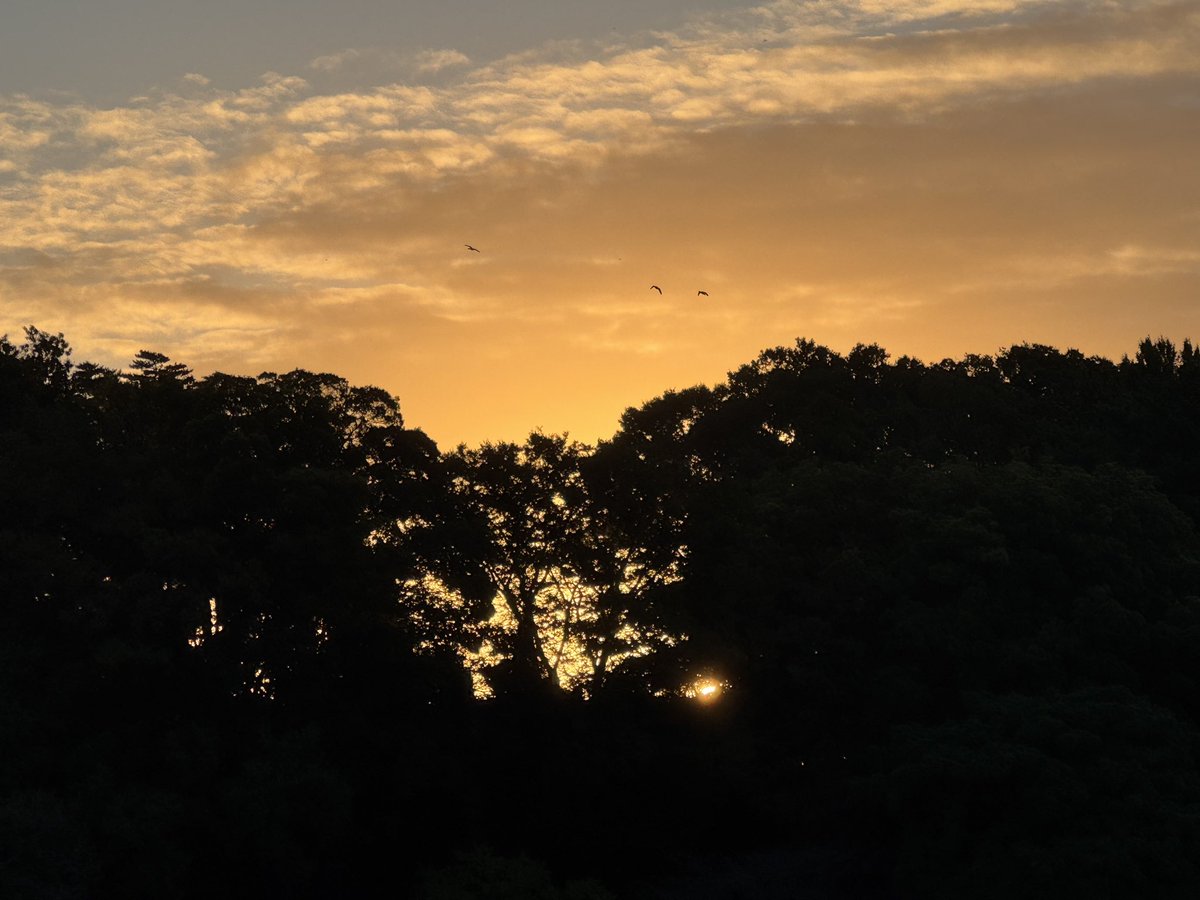 朝の散歩時間が１日の中で1番落ち着く。前日に何があったとしても朝早く起きていつも通りの事をするとリフレッシュ。
2時間30分は自分だけの時間という感じ。
勉強した後は日課の散歩。30分温かいビタミンジュース飲みながらボーっとする。
朝日はパワーだと思う。

#朝活
#中秋の名月