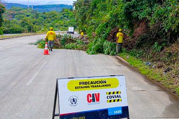 Workers in yellow vests and helmets perform maintenance on a roadside with dense green vegetation and hills in the background. They clear fallen branches and debris from the asphalt using tools, with orange traffic cones placed for safety. A bilingual sign in Spanish and English reads Precaucion Estamos Trabajando with COVIAL logo visible. Additional images show close-ups of workers cutting roots and removing soil near a blue vehicle and more cones. The scene includes uprooted plants and a cleared path on the highway edge.