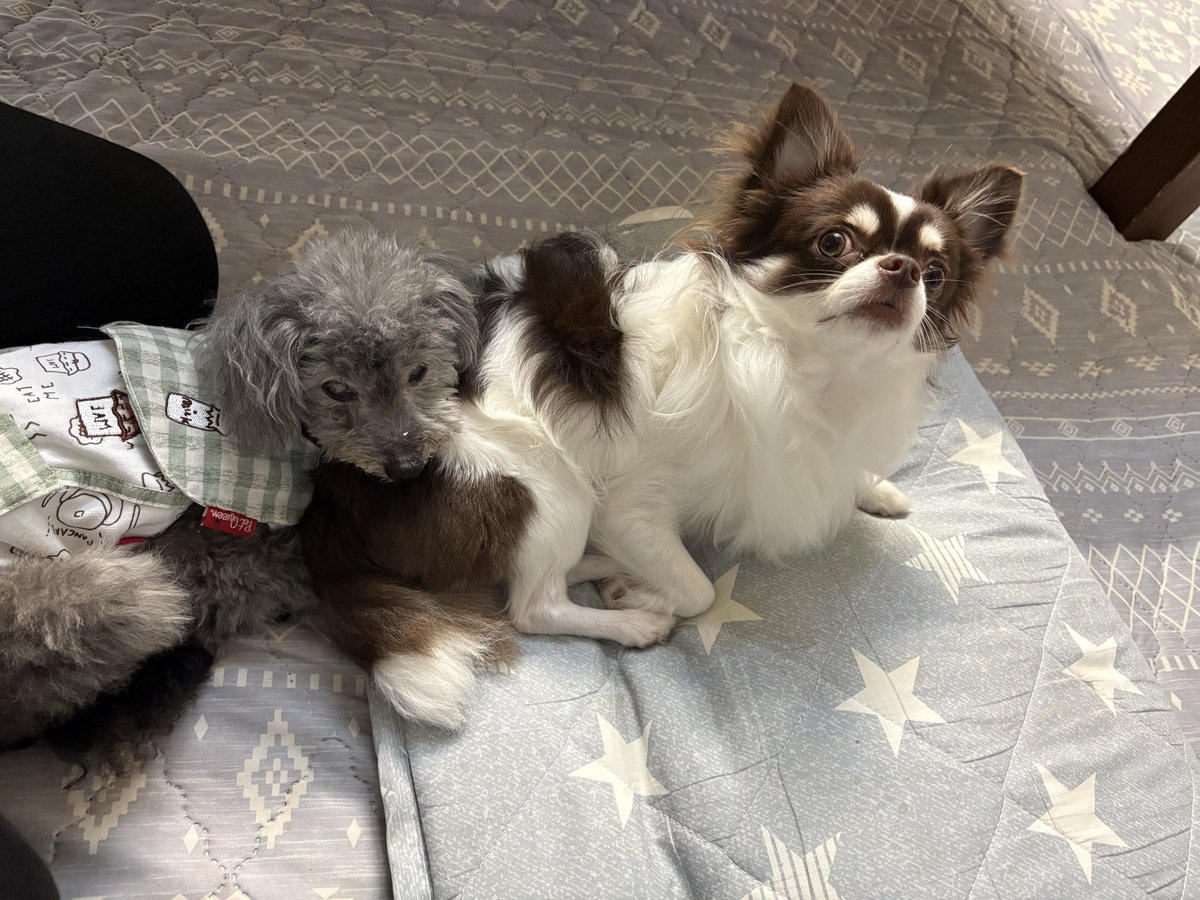 藤塩🗻🧂 tweet media