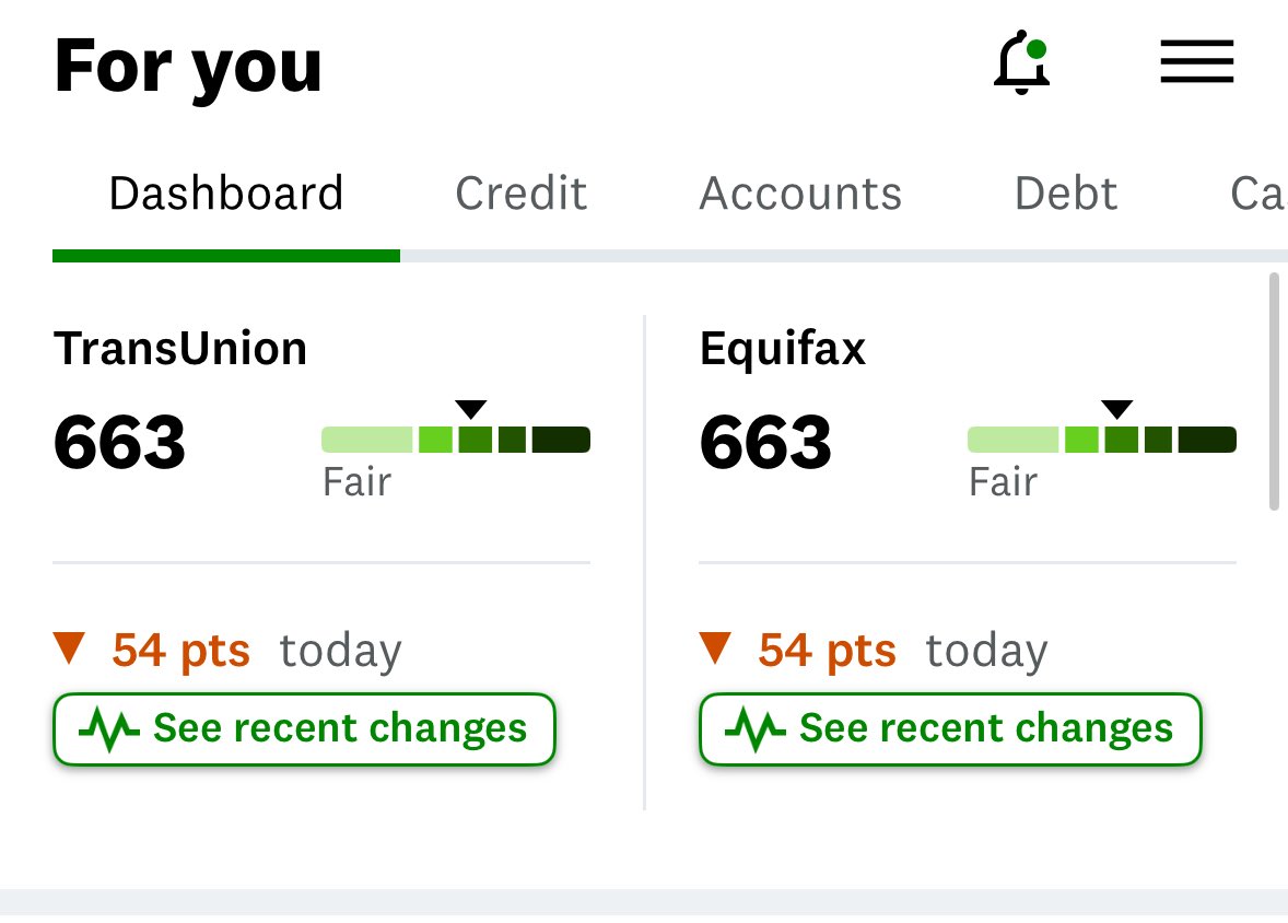 Britt Ortega tweet media