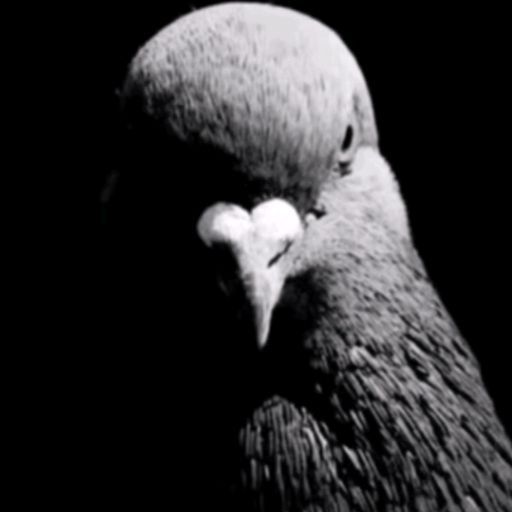 Ramonsin 💫✨ tweet media