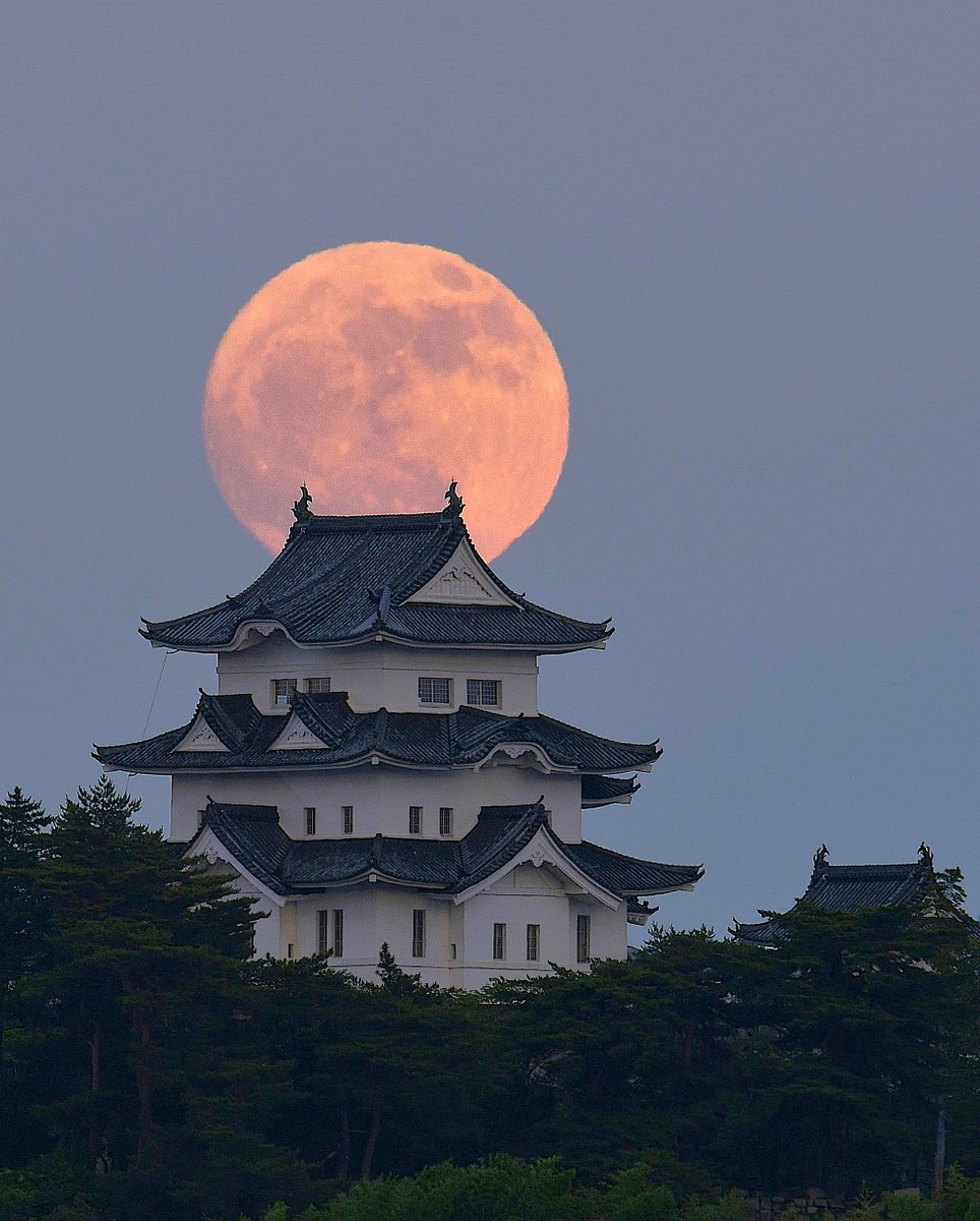 ma_shimo_'s tweet image. 三重県　伊賀上野城