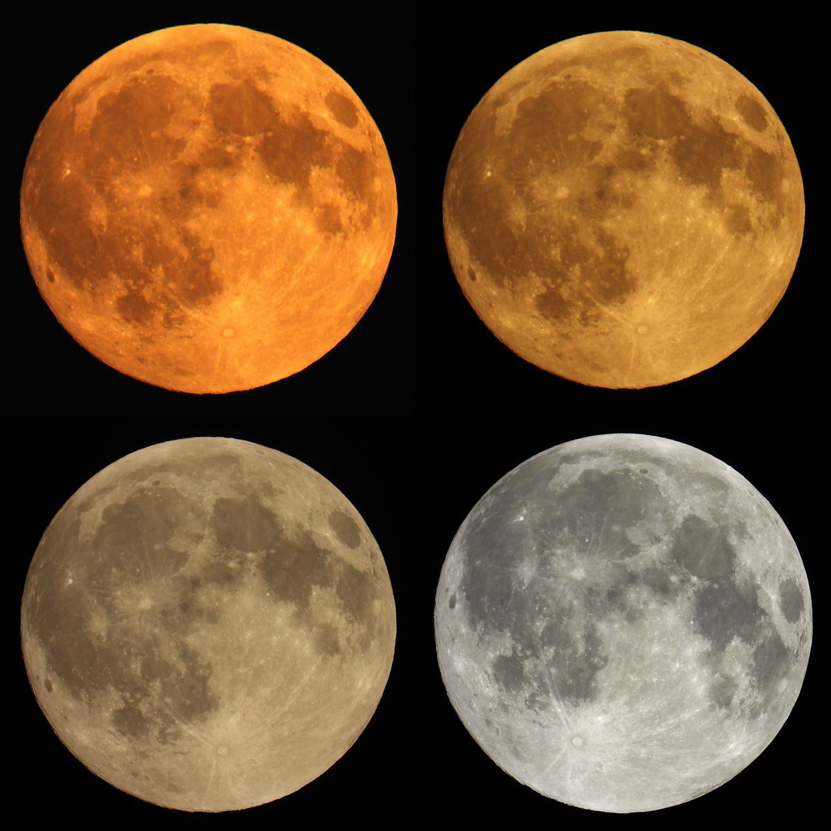 FunkyAppleTree's tweet image. Last night's tetrad of supermoons 🌝 @StormHour @ThePhotoHour @NASAArtemis #loveukweather #London