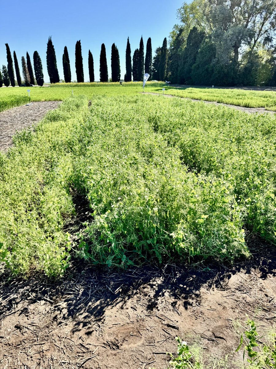 Alexis Gonzalez tweet media