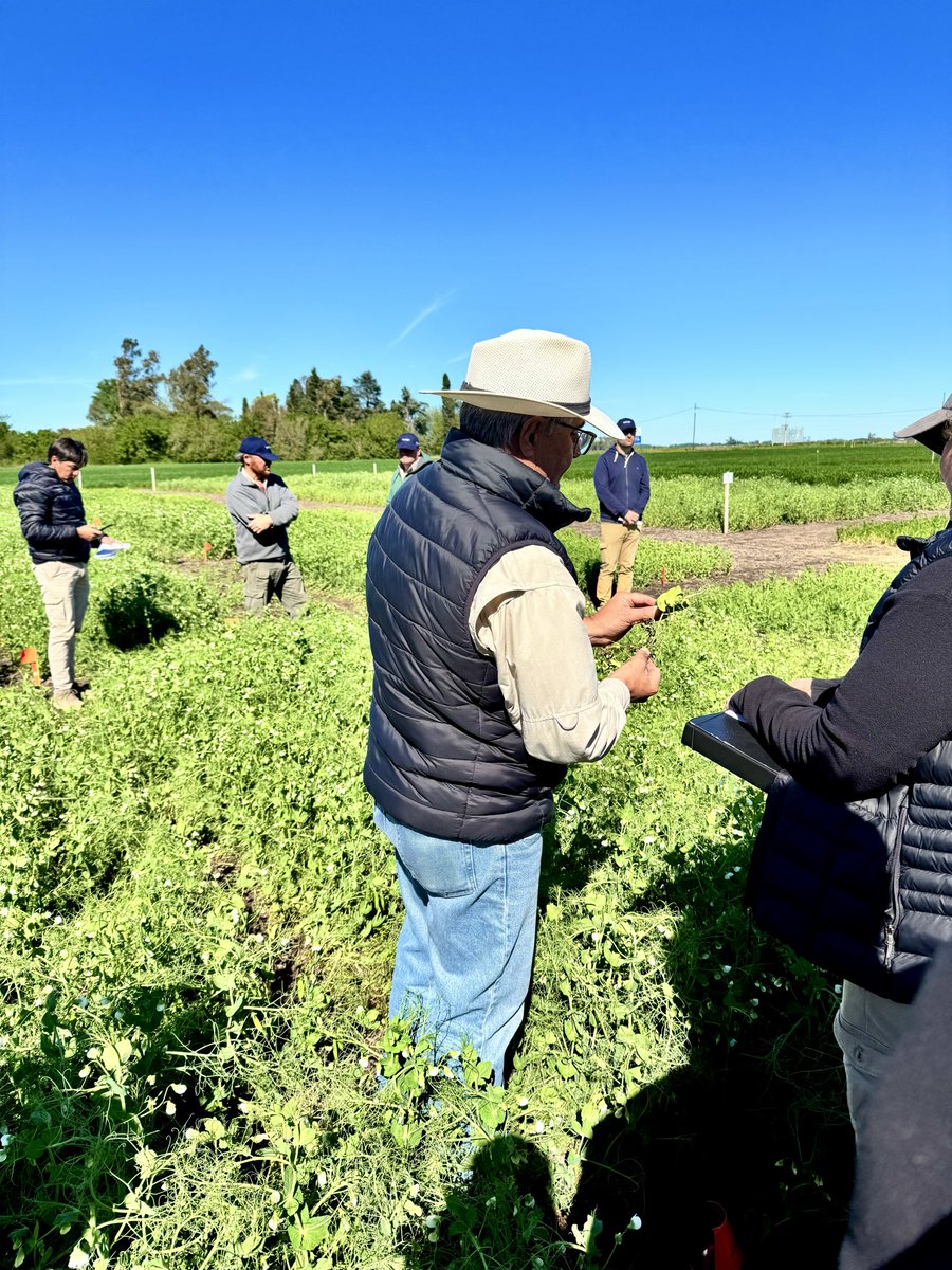 Alexis Gonzalez tweet media