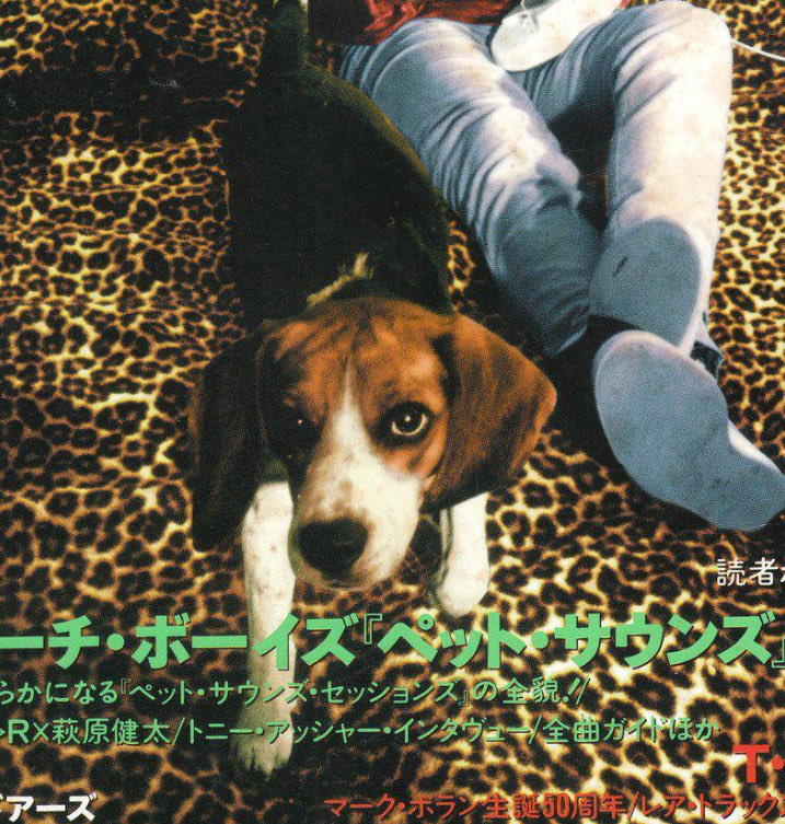 BEACH BOYS FACT 3

Banana Wilson had a successful modelling career, appearing in publications such as Vogue and Cosmopolitan.