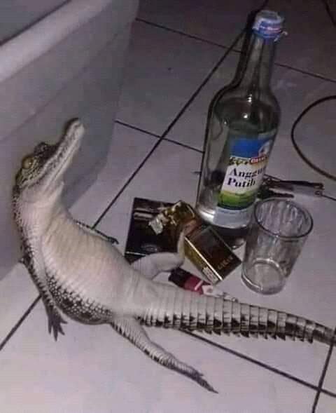 The lonely stoner seems to free his mind at night
