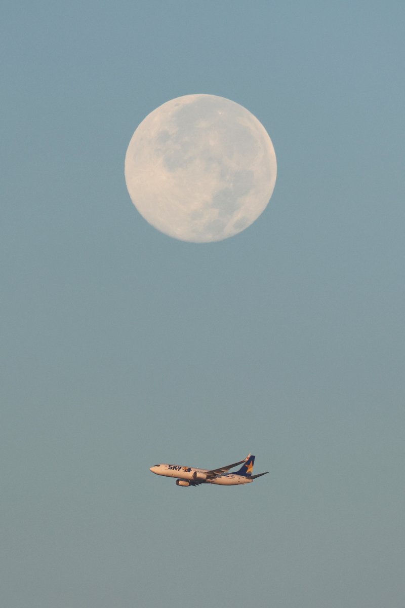 fly_o.s (@fly_os787) / X