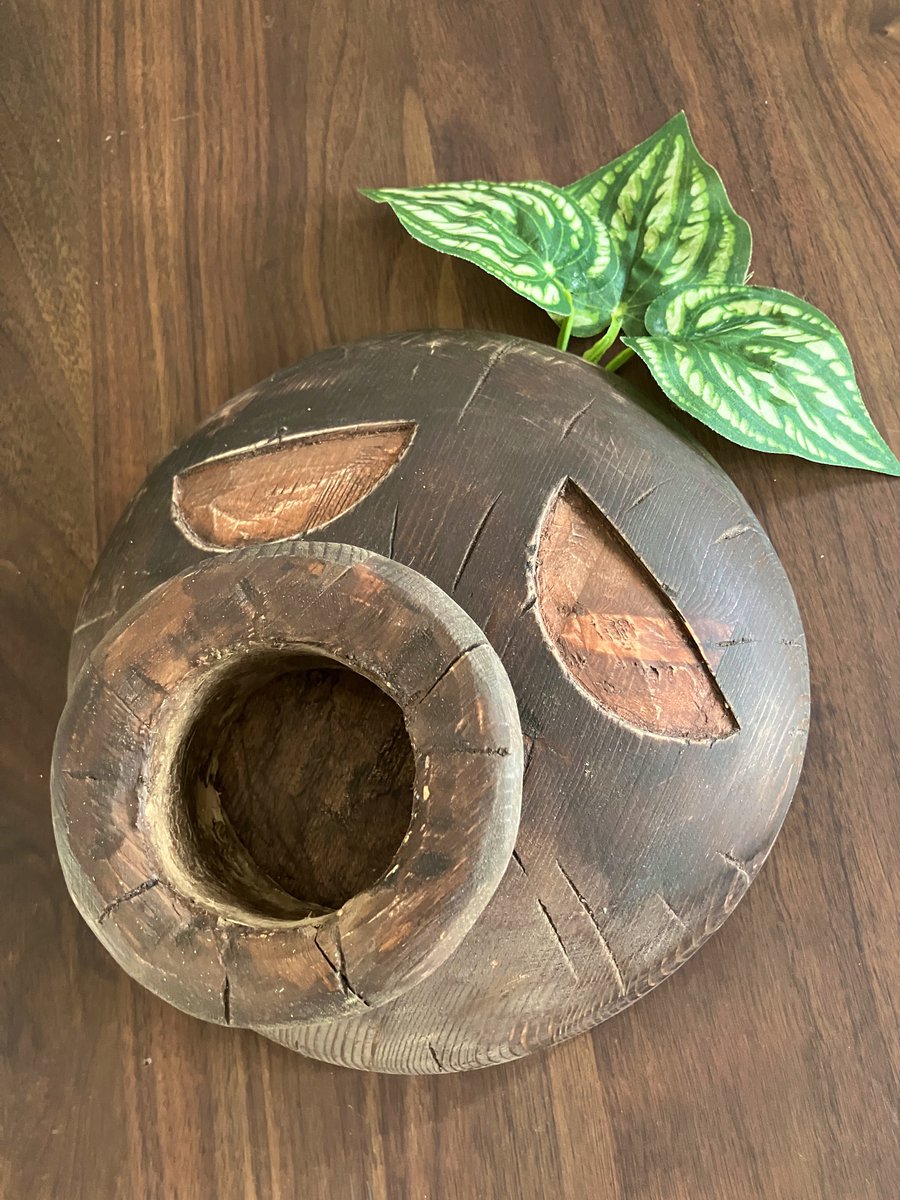 ウォー・バニット tweet media