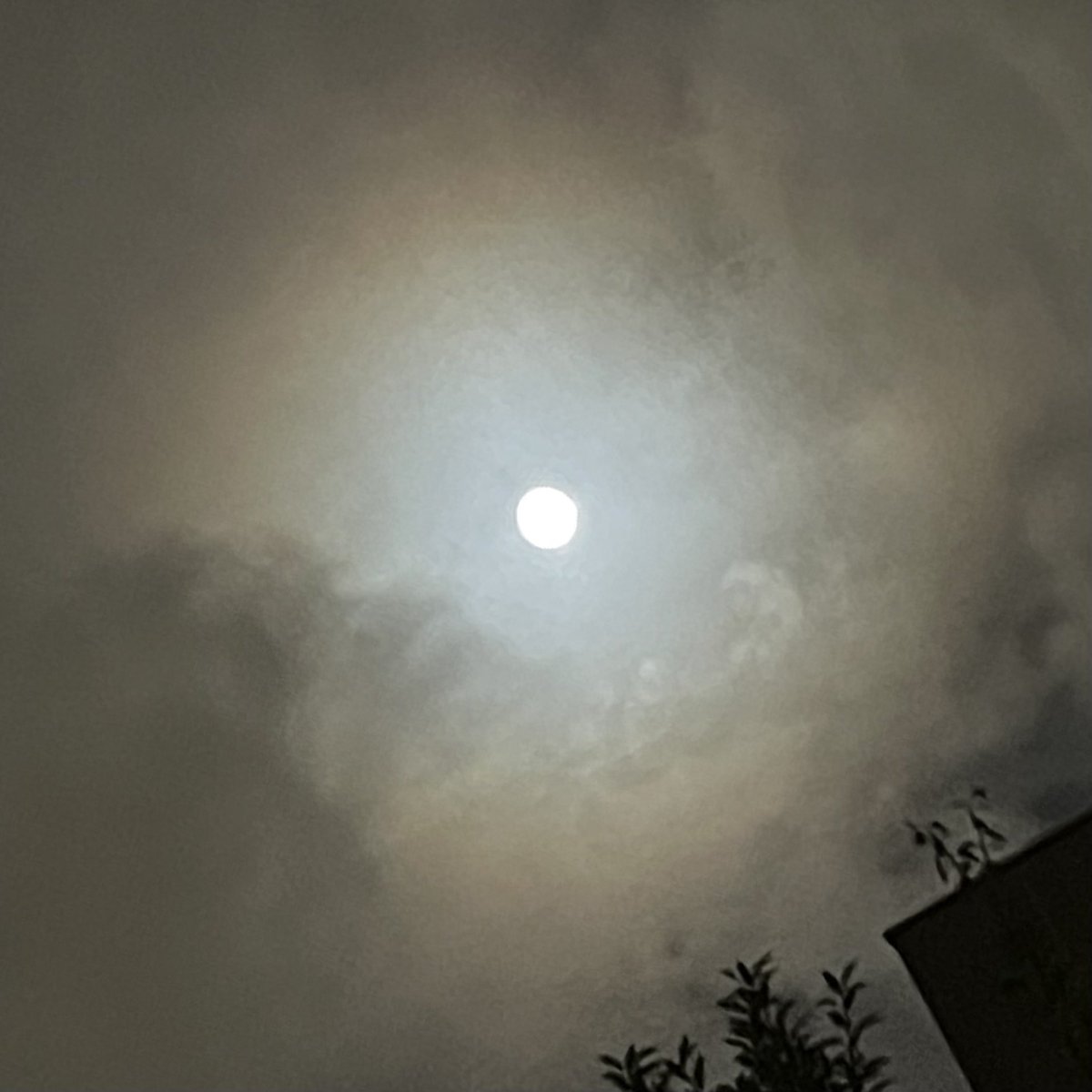 WelcometoJapan1's tweet photo. 中秋の名月🌕秋風が雲を流し、時々薄い雲の隙間から🌕の輝きが薄らと漏れ差ていました。雲のない美しく輝く中秋の名月も素敵ですが、雲に隠れる月がいつ現れるかと眺めている時間が秋の夜長を楽しむひと時でした。秋風・流れる薄い雲・隙間から澄んで美しく漏れ出る月の光を堪能しました🤗
#中秋の名月 https://t.co/9ilmVZvuAz