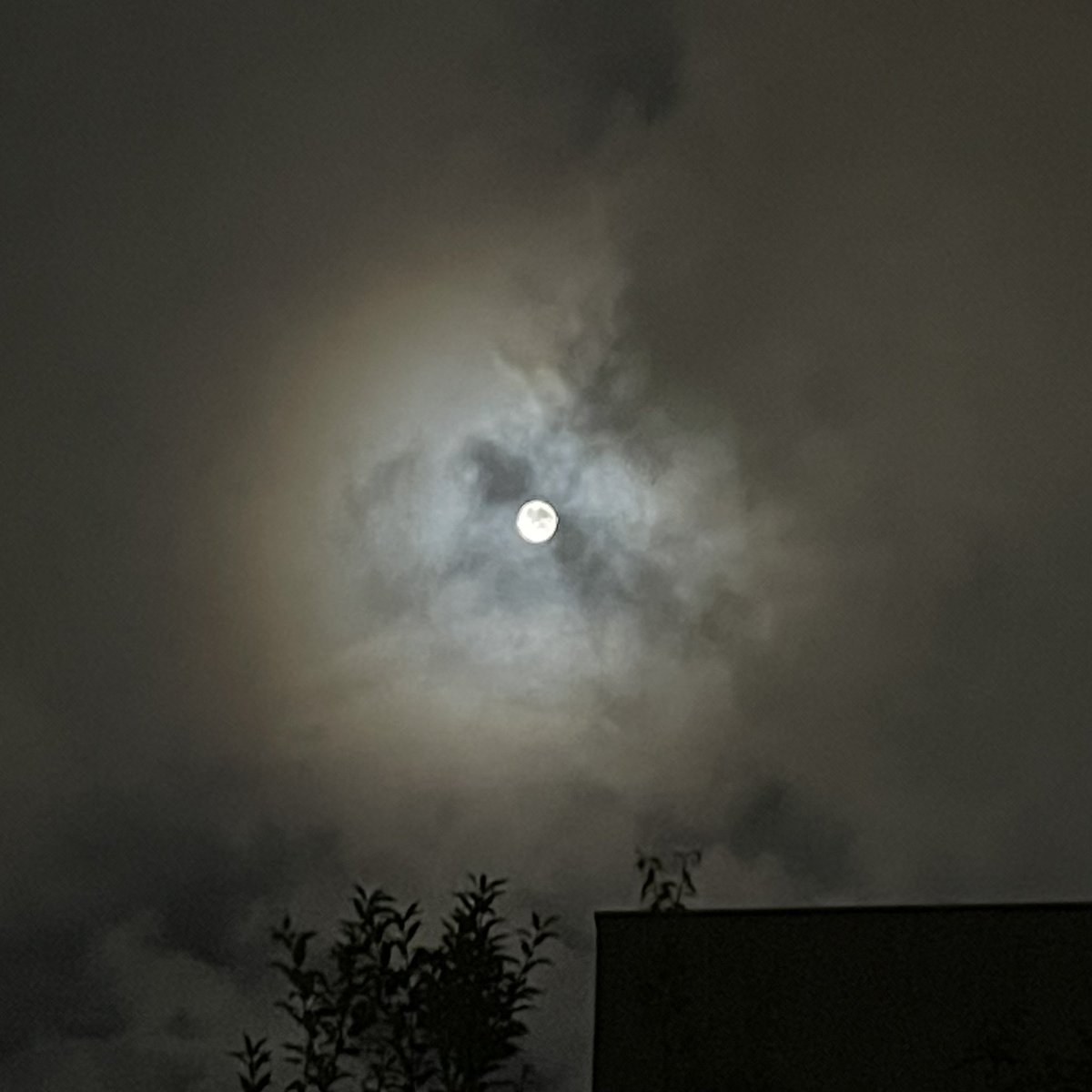WelcometoJapan1's tweet photo. 中秋の名月🌕秋風が雲を流し、時々薄い雲の隙間から🌕の輝きが薄らと漏れ差ていました。雲のない美しく輝く中秋の名月も素敵ですが、雲に隠れる月がいつ現れるかと眺めている時間が秋の夜長を楽しむひと時でした。秋風・流れる薄い雲・隙間から澄んで美しく漏れ出る月の光を堪能しました🤗
#中秋の名月 https://t.co/9ilmVZvuAz