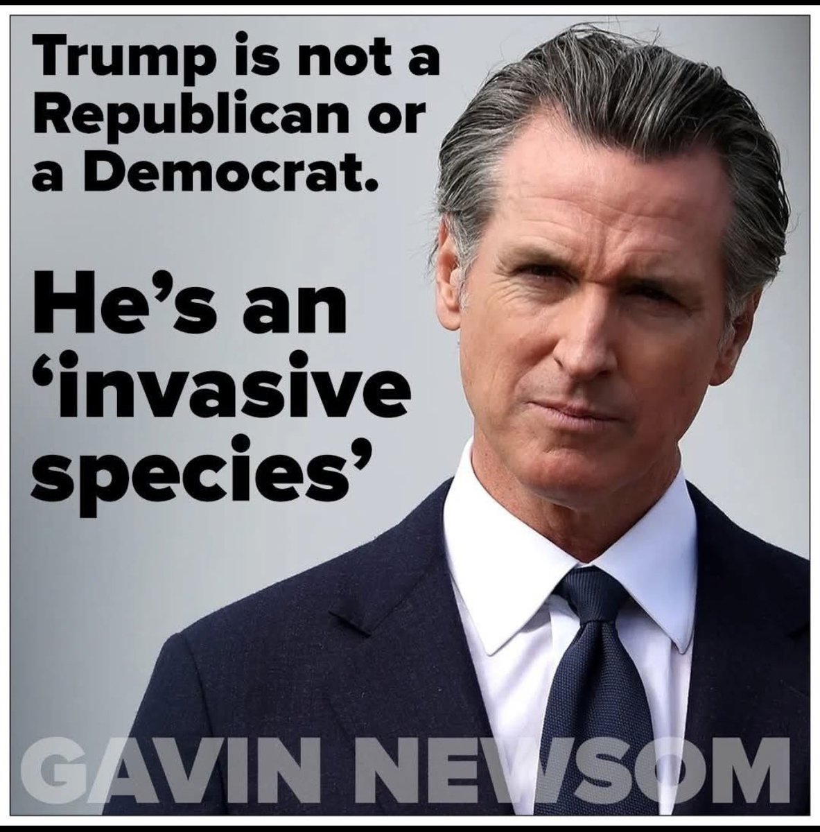 <a href="/GavinNewsom/">Gavin Newsom</a> Two true facts MAGA has brought since their inception 
#1 We discovered we had millions of ignorant people living amongst us 
#2 We finally learned the meaning of the expression 
“Dumber Than Dirt”
&amp; I Must Say
💙🇺🇸Love Our Gov🇺🇸💙