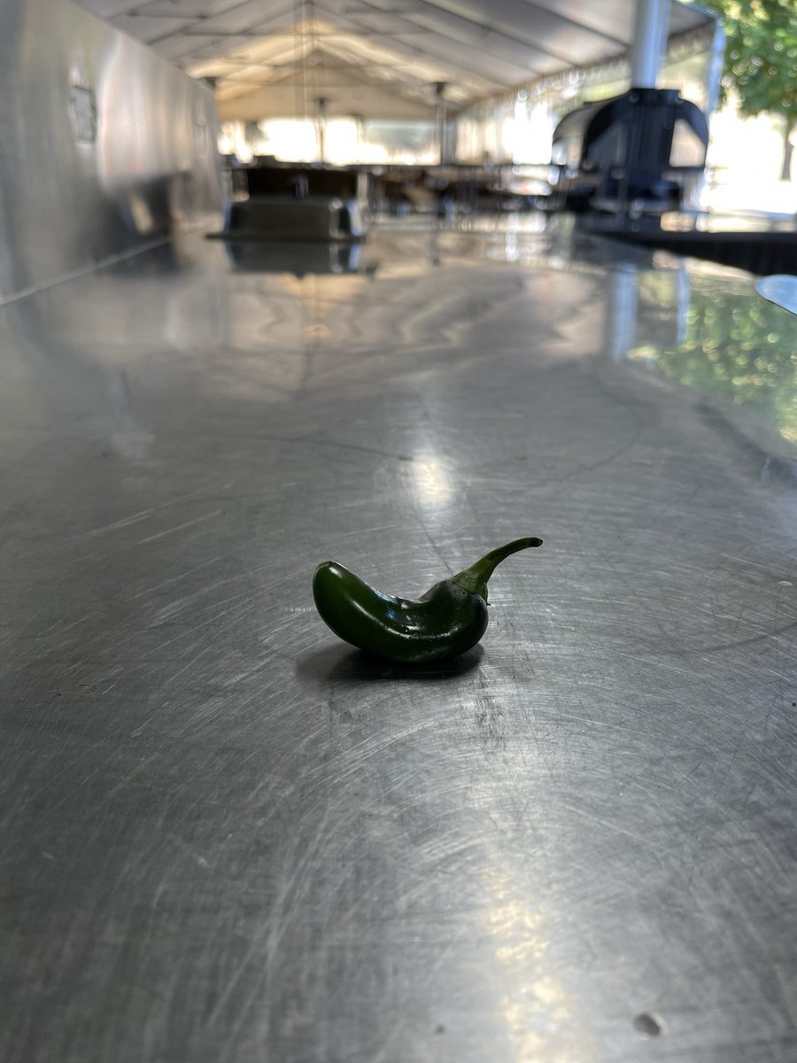 Little pepper wants to join the party.