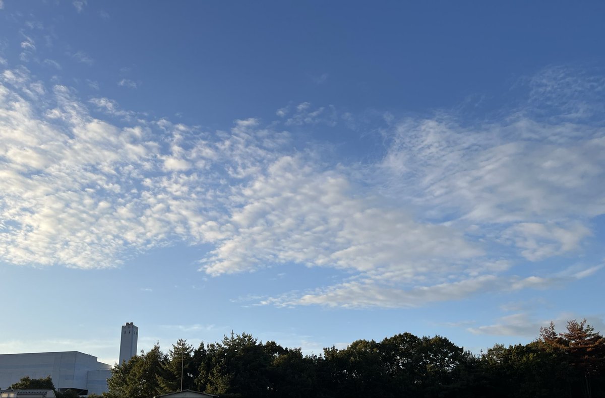 おはようございます😊秋の空♪…ﾃﾝﾀｶｸｳﾏｺﾕﾙ…ﾌﾄﾙ😅