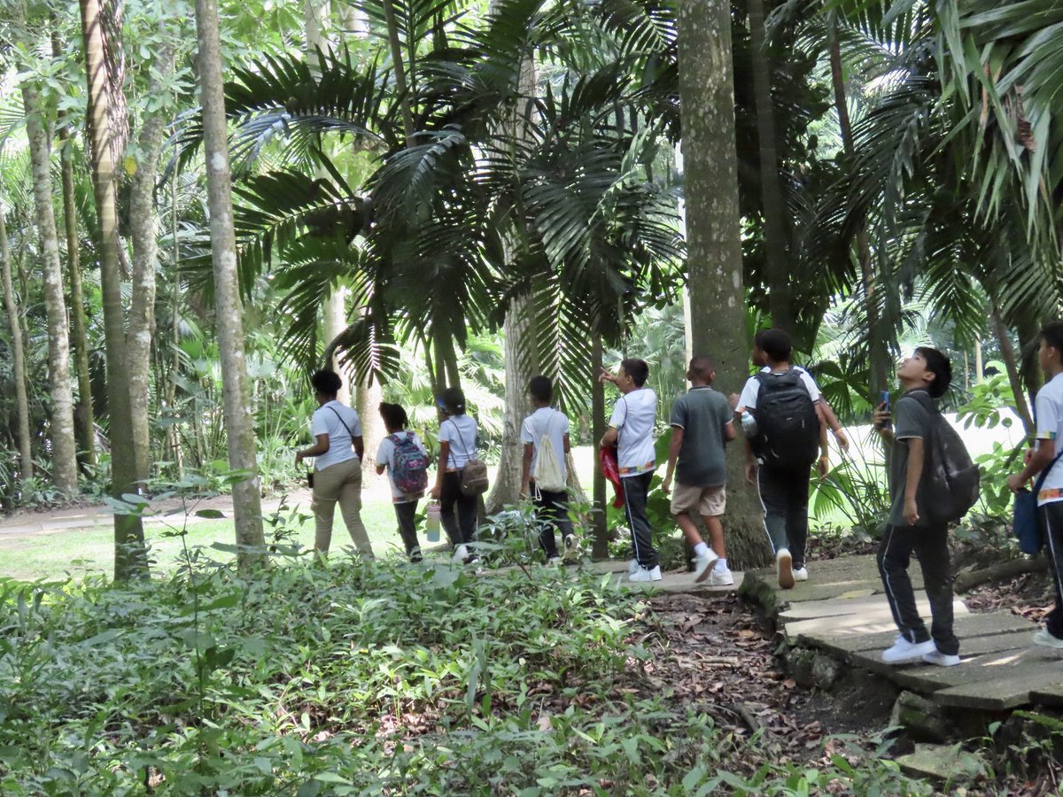 En alianza con los estudiantes de 5º de la
Institución Etnoeducativa Tierra Baja
visitamos el Jardín  Botánico de Cartagena <a href="/JBGP_Cartagena/">Jardín Botánico de Cartagena</a> 

Exploramos el bosque seco tropical y aprendimos sobre su valiosa flora.🧡🌿
