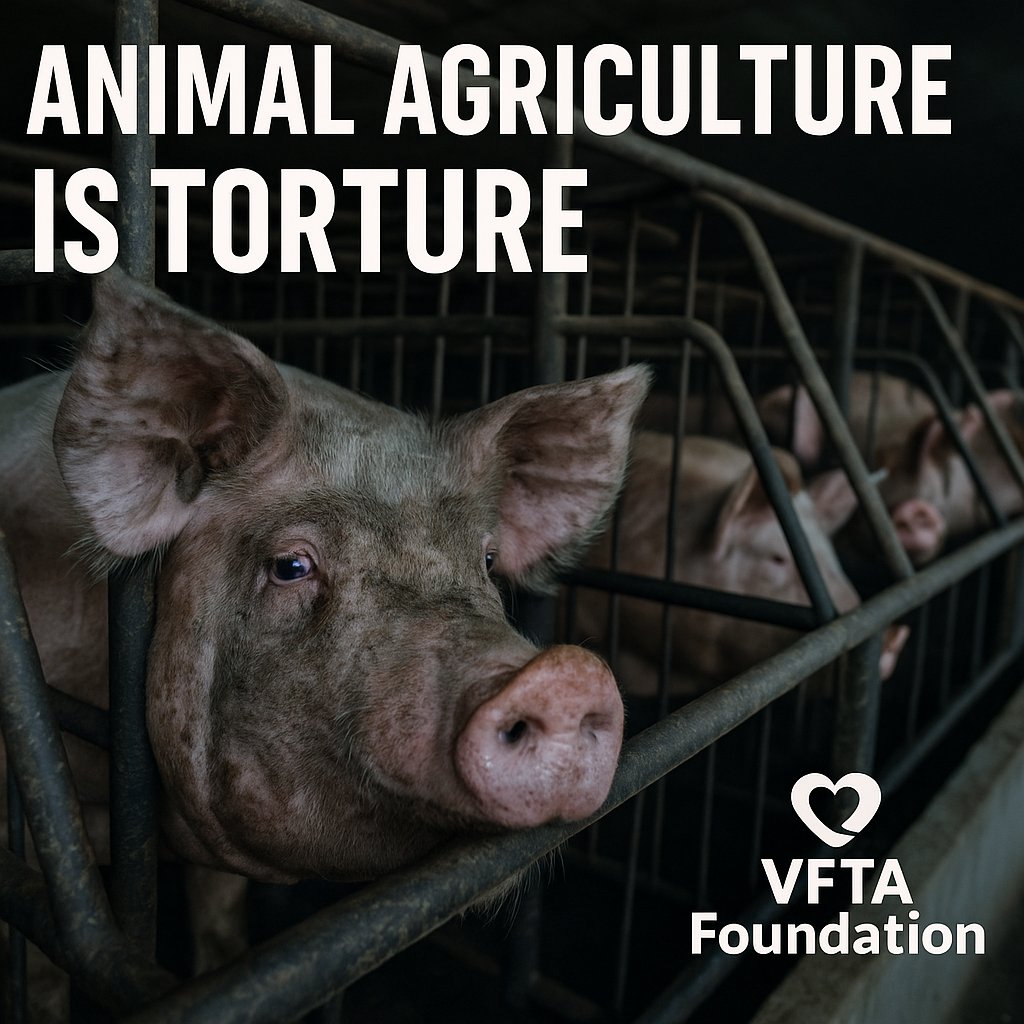 96.2% of climate stories never mention animal agriculture as a pollution source. That silence protects the very industries fueling climate collapse.
Read: sentientmedia.org/climate-news-a…
Why is animal agriculture still hidden in climate discourse?
#ClimateTruth #AnimalRights