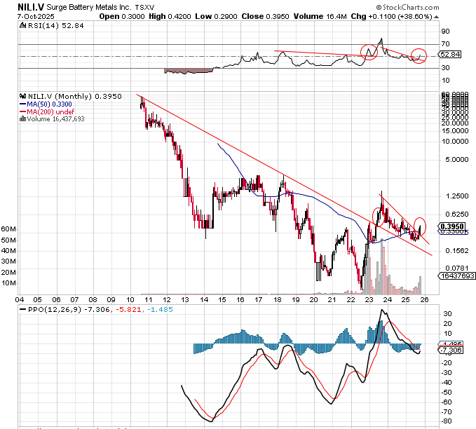 data_analyst000's tweet image. Think there might be some good long term potential
$NILI.V
