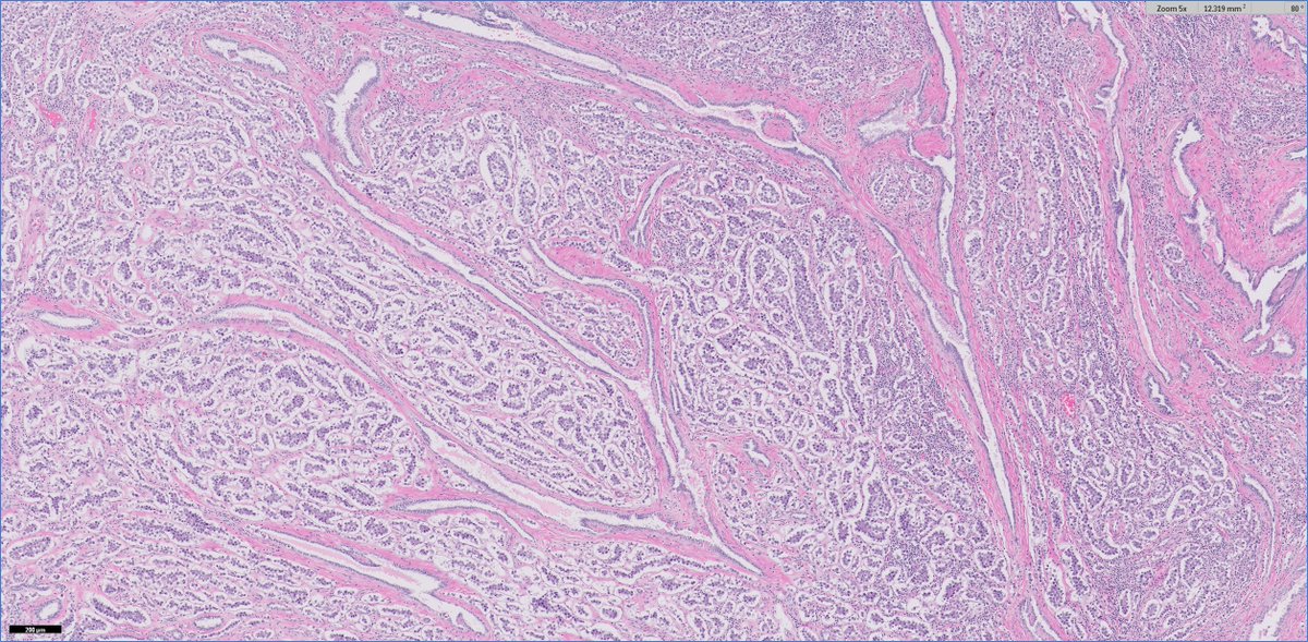 Ankur Sangoi tweet media