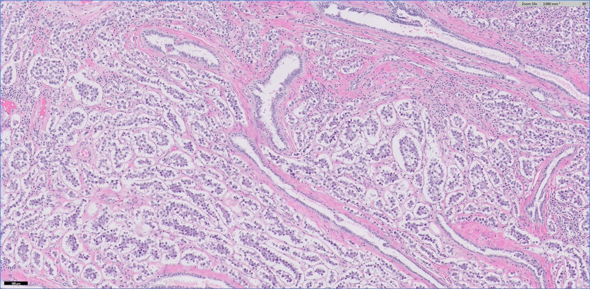 Ankur Sangoi tweet media