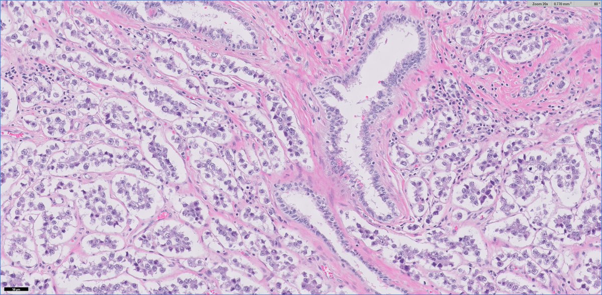 Ankur Sangoi tweet media