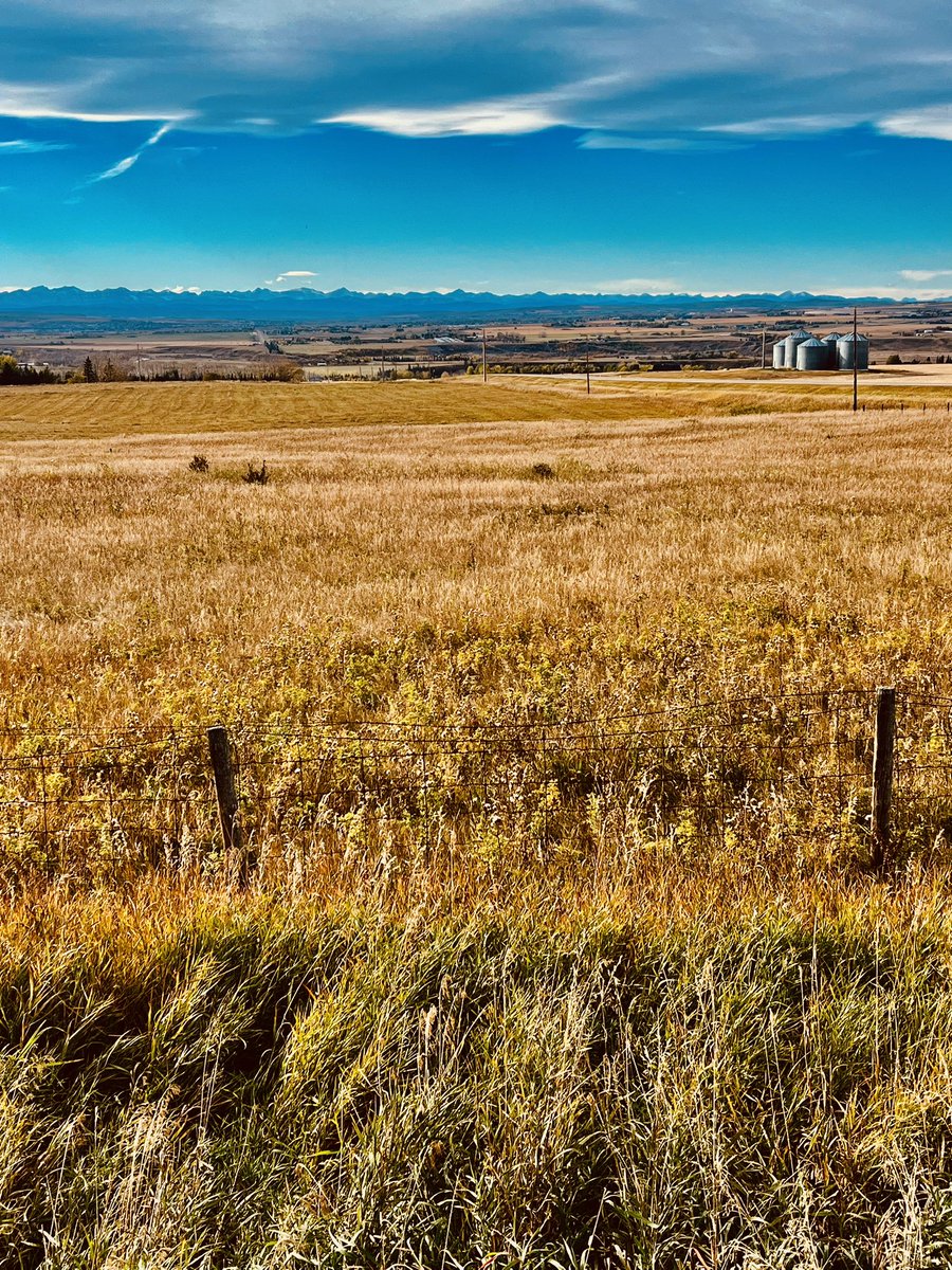 Roblaird681344's tweet image. Tuesday afternoon Mountain View from Gladys Ridge Alberta Canada 🏔️😀🇨🇦