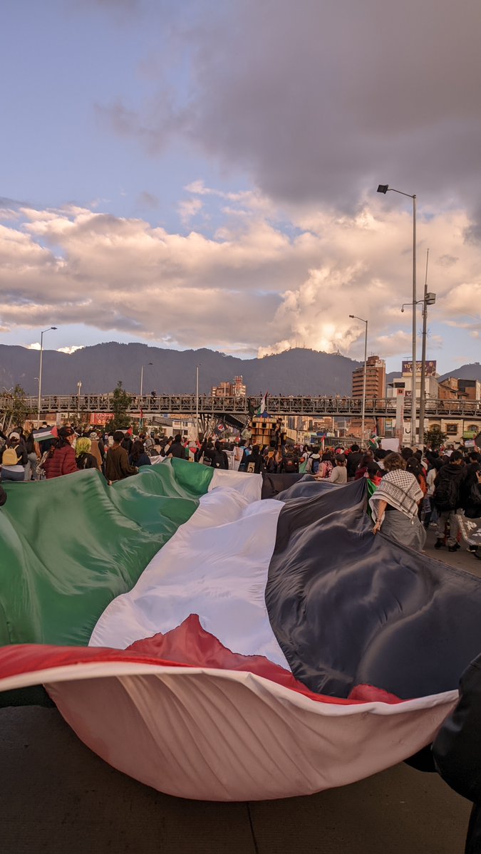 lfcruzo's tweet image. Qué linda se ve #Bogotá cuando protesta contra el Genocidio 
🇵🇸