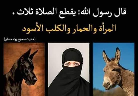 Sad tree tweet media