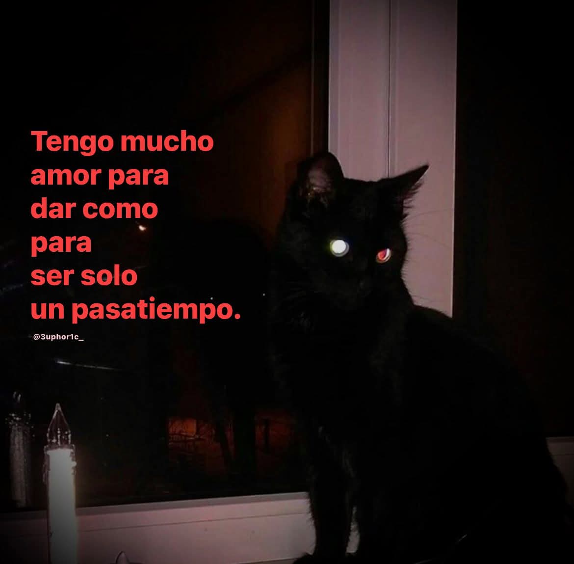 ojoscol0rsol's tweet image. 