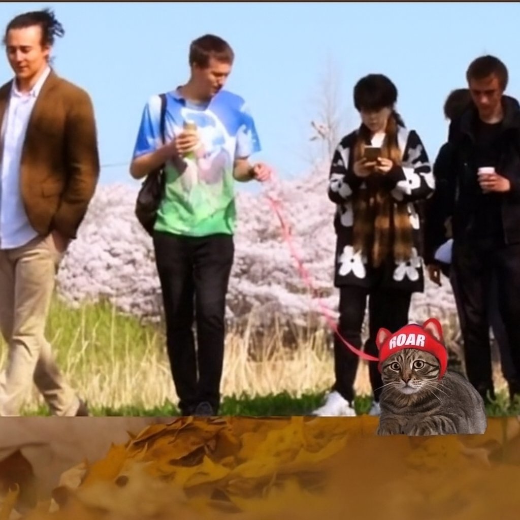 RoaringKitty_22's tweet image. Breaking News: @VitalikButerin is seen walking a Roaring Kitty Cat

(Haters Will say this is AI)

#Ethereum #ETH #VB #Vitalik